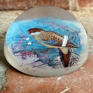 Bird motif semi sphere paperweight